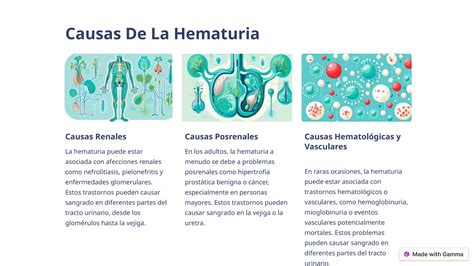 Acercamiento Al Paciente Con Hematuria Pptx