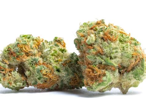 Meet Our Cannabis Strains Indica Strain Sativa Strain 305 Brands