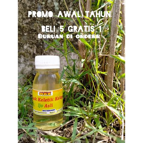 Jual Promo minyak kelapa asli 60ml/minyak kelapa murni/minyak kelapa ...