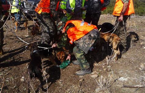 Landes Un Chasseur De 45 Ans Tué Après Un « Tir Accidentel Lors D