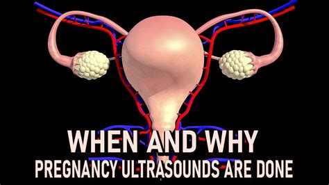 When And Why Pregnancy Ultrasounds Are Done Youtube