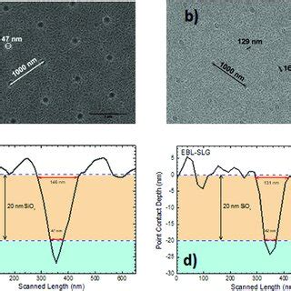 Flexible Substrates Characterization After Nil Process Top View Sem