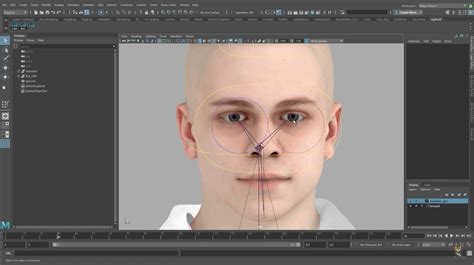 Introduction To Character Rigging Flippednormals