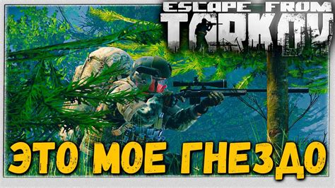 Битва за Лесопилку 🎥 в Escape From Tarkov 127 Youtube