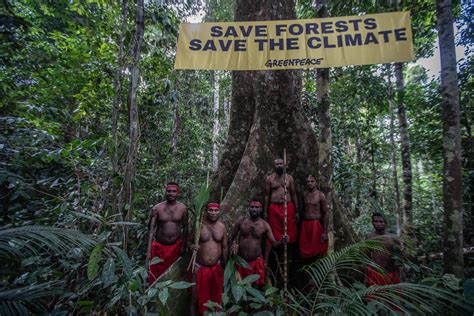 indigenous peoples  local communities  protect  restore
