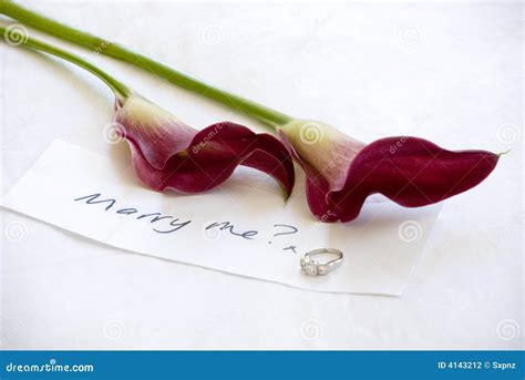 Marriage Proposal with Flowers Stock Photo - Image of petals, note: 4143212