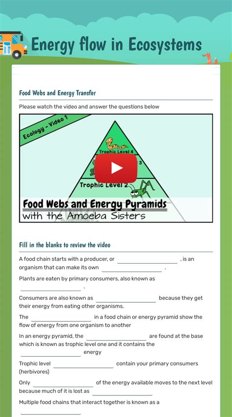 Energy Flow In Ecosystems Worksheet Ame My Id