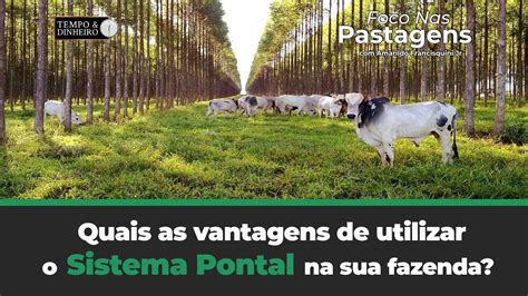 Quais As Vantagens De Utilizar O Sistema Pontal Na Sua Fazenda Foco