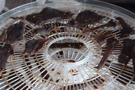 How To Make Beef Jerky In A Dehydrator Homemade Beef Jerky Beef Jerky Beef Jerky Recipes