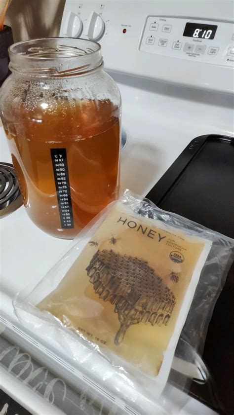 Jun Tea Green Tea Kombucha With Honey Nourished Kitchen Recipe