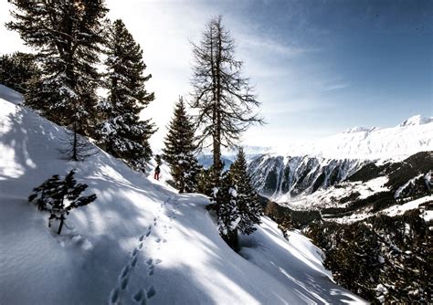 Free Images Tree Snow Mountain Range Weather Snowshoe Season