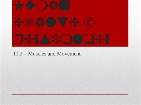 PPTX Topic 11 Human Health Physiology 11 2 Muscles And Movement