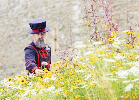 Queen S Garden Superbloom At The Tower Of London Aldgate Connect Bid