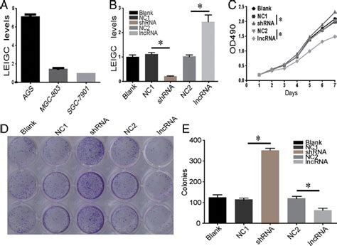 Growth And Colony Formation Assays Of Mgc Cells Following