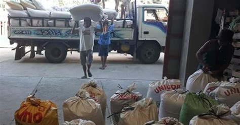 Nfa Negocc Starts Buying Palay From Farmers At Higher Price