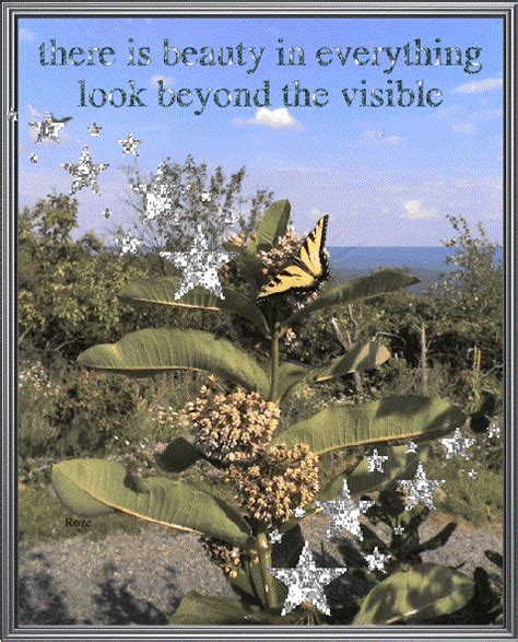 Butterflies Remind Us To Observe The Beauty Beyond The Visiblethey