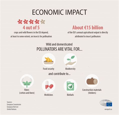 Whats Behind The Decline In Bees And Other Pollinators Infographic