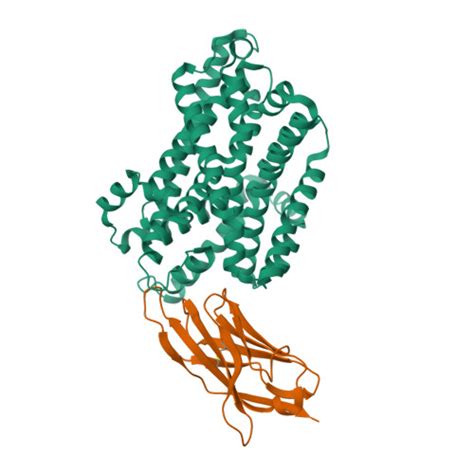 Rcsb Pdb M Crystal Structure Of Staphylococcus Capitis Divalent