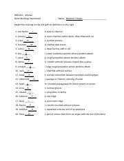 Bone Markings Worksheet Pdf Biol Wyman Bone Markings Worksheet