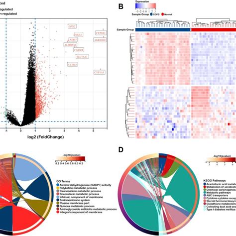 Identification Of Degs In Gse A And B Volcano Plot And Heat Map