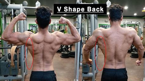 How To Get V Shape Back Sahil Umar Fitness YouTube