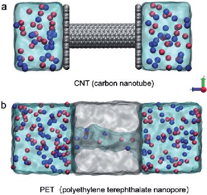 Md Simulation Models Of Ionic Transport Through Nanotubes Schematic