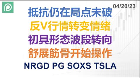 美股分析 NRGD PG SOXS TSLA 抵抗仍在局点未破 反V行情转变情绪 初具形态波段转向 舒展筋骨开始操作 YouTube