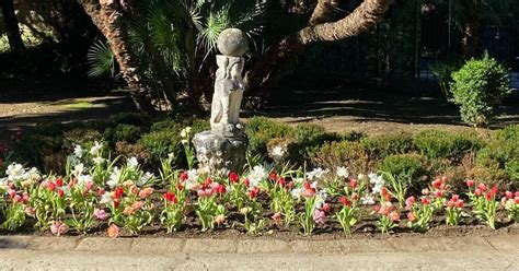 Dialoghi Con La Reggia Fioriture Del Parco Reale Il Tema Scelto