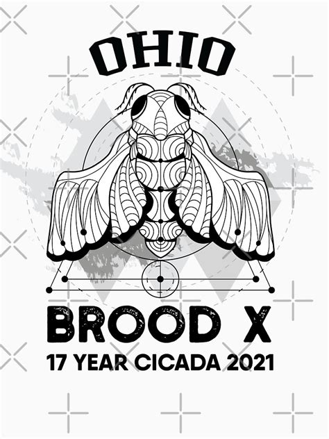 Cicada Brood X Ohio 2021 Essential T Shirt For Sale By Artado Redbubble