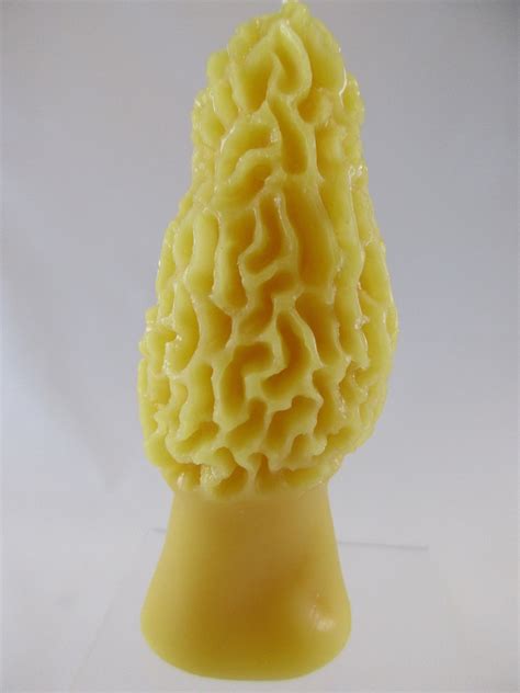 Morel Mushroom 100 Pure Beeswax Candle Wax From My Bee Hives Clean