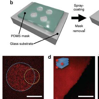 Patterning Substrates With Fluorescently Labelled Dna Origamis A A