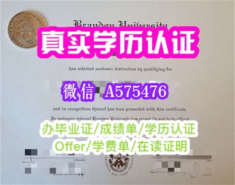 一比一原版澳洲皇家墨尔本理工大学毕业证（rmit毕业证书）成绩单哪里定购 Ppt