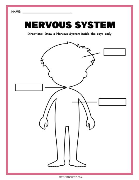 Grade Nervous System