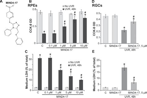 Figure From Mind Protects Retinal Pigment Epithelium Cells And