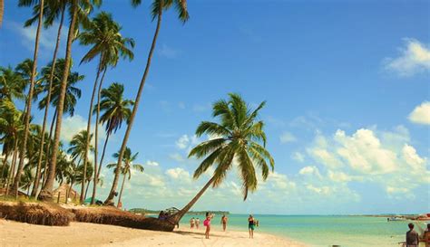 14 praias paradisíacas no nordeste que você precisa conhecer