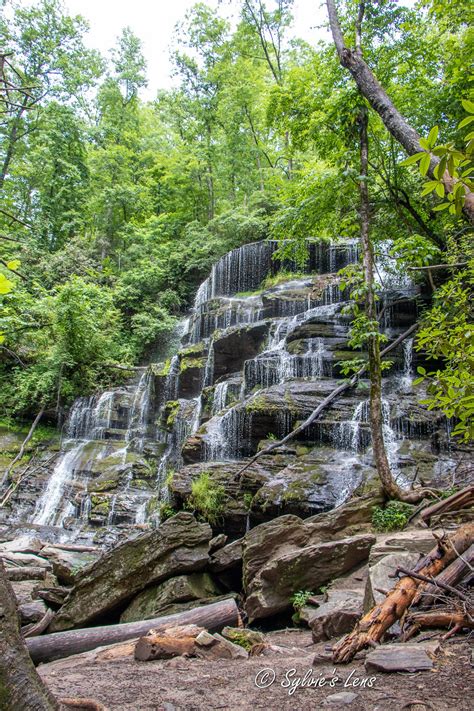 Yellow Branch Falls Sc Sylvie S Adventures