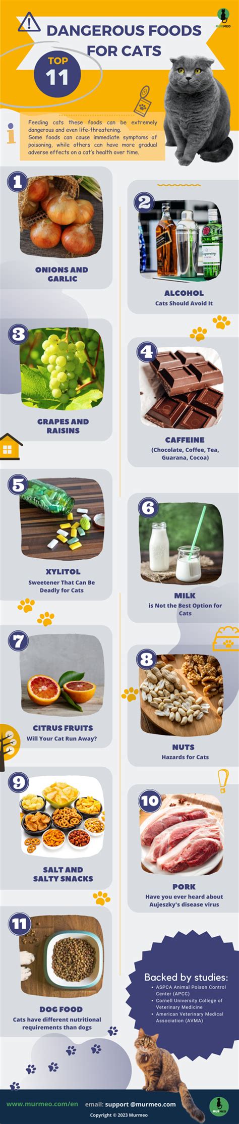 11 Dangerous Foods For Cats Infographic Best Infographics