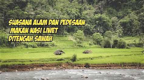 Kenikmatan Makan Nasi Liwet Di Tengah Sawah Gak Ada Duanya Suasana