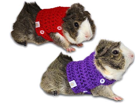 Guinea Pig Sweater For Pets Clothes For Pet Guinea Pig Sweaters Pet