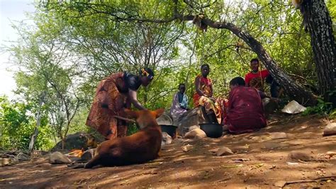 Poison Arrow Hunting In Africa Eating With The Hadza Tribe Video