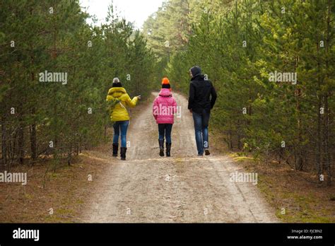 walking  forest stock photo alamy