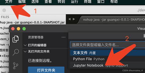 vscode jupyter配置远程服务器开发 vscode 远程jupyter开发环境 CSDN博客