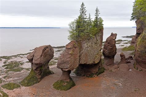 Hopewell Rocks in Low Tide, New Brunswick, Canada Stock Photo - Image of architecture, forest ...