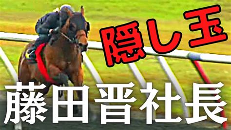 森厩舎に入厩 藤田晋社長の隠し玉2歳馬メタマックス、ゴールデンマイクがデビューに向けて追い切り開始 Youtube