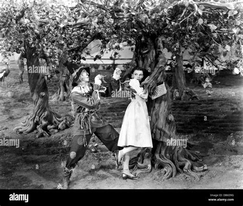 The Wizard Of Oz Mgm 1939 Directed By Victor Fleming With Judy