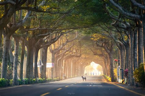 【公路景點】全台11條最美道路！ig打卡、網美拍照秘境 吃貨瑪莉