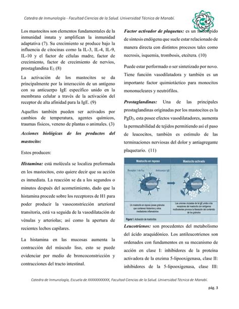 Citocinas activación de mastocito PDF