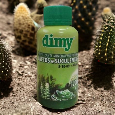 Fertilizante Para Cactos E Suculentas Dimy 120ml Kokedama Xique Xique