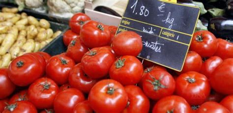 Le Maroc R Duit Ses Exportations De Tomates Vers Lue Hortitecnews