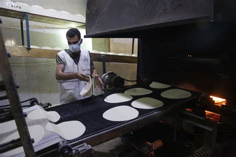 من بذرة القمح إلى رغيف الخبز مشروع قطري متكامل لضمان الأمن الغذائي